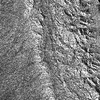 enlarged view
