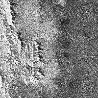 enlarged view