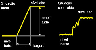 borda unidimensional